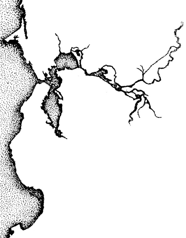 The Bay Architects cartographic emblem